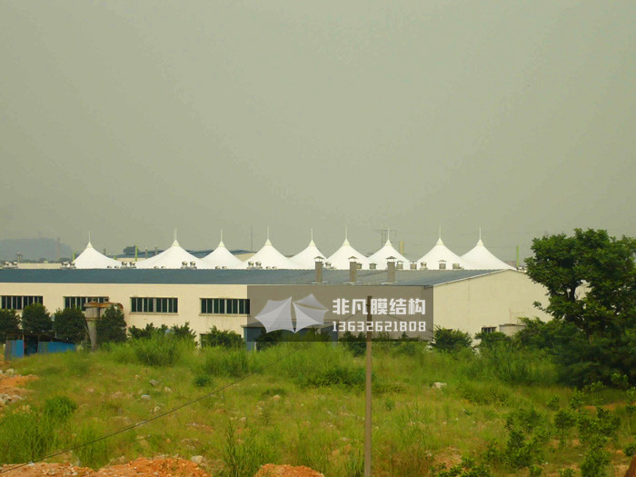 SY006 Roof membrane structure of factory